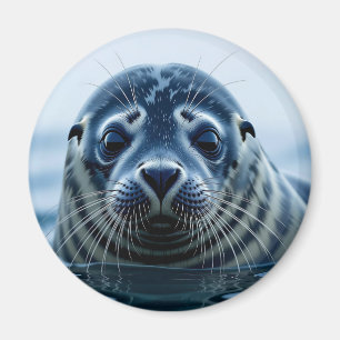 Söt säl närbild magnet