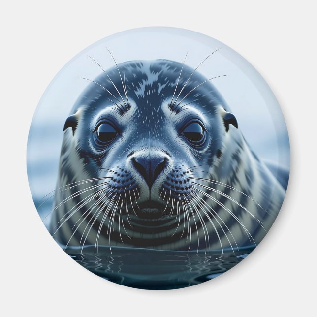 Söt säl närbild magnet (Framsidan)