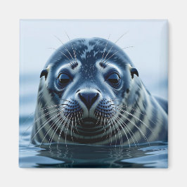 Söt säl närbild magnet