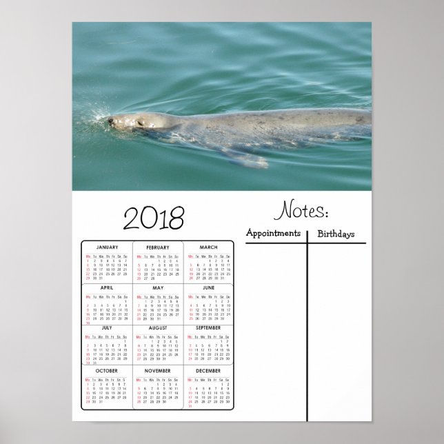 Söt säl simmar foto 2018 kalenderposter poster (Framsidan)