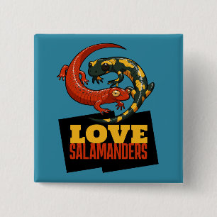 Söt Salamander Kärlek Salamandrar Fan Tecknad Knapp