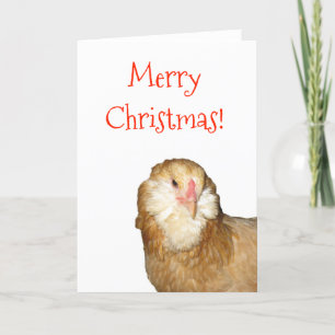 Söt sällsynt veteamerikanska höna God Jul! Helgkort