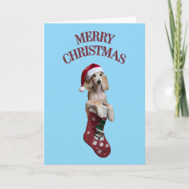 Söt Saluki Hund Jul Kort