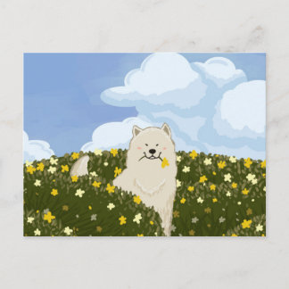 Söt Samoyed Hund i Fält av Gula Blommor (Blå) Vykort