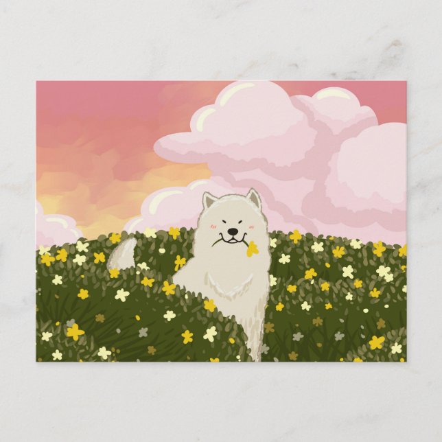 Söt Samoyed Hund i Fält av Gula Blommor (Rosa) Vykort (Framsida)