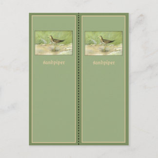 Söt Sandpiper-bokmärke Vykort