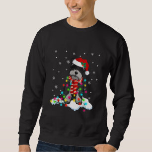 Söt schnauzer christmas ljus med julhovgif lång ärmad tröja