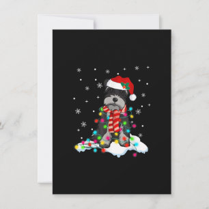 Söt schnauzer christmas ljus med julhovgif tack kort