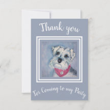 Söt Schnauzer