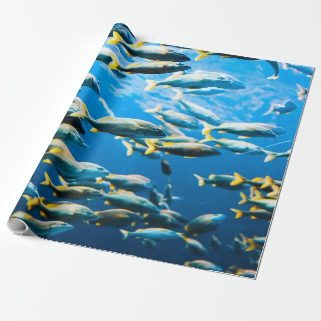 Söt Sea Life Presentpapper (Utrullad)