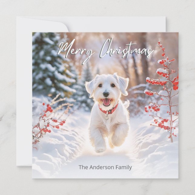 Söt Sealyham Terrier Hund I Snö God Jul Julkort (Framsida)