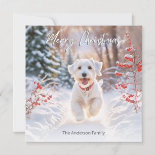 Söt Sealyham Terrier Hund I Snö God Jul Julkort