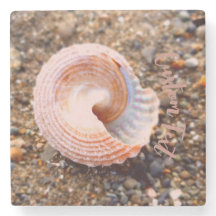 Söt Seashell på en Rocky Beach med Anpassningsbar 