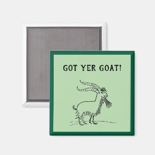 Söt serieget, svart och vit gårdsdjur magnet