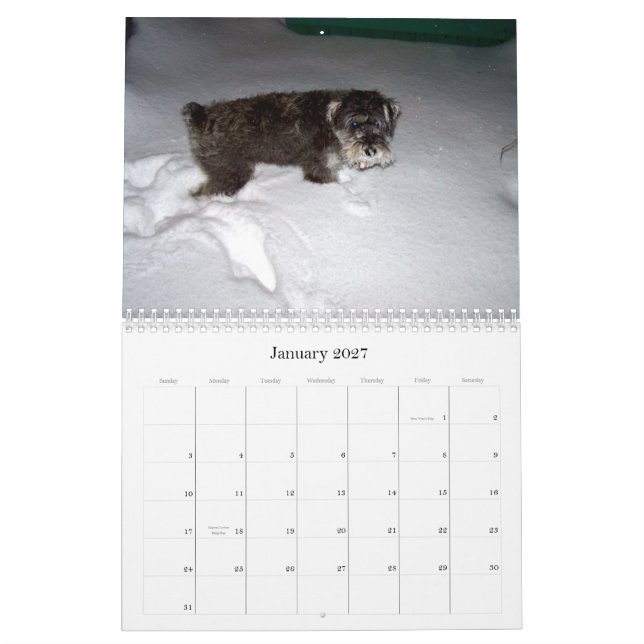 söt sHAMUS till och med dayZen Kalender (Jan 2027)