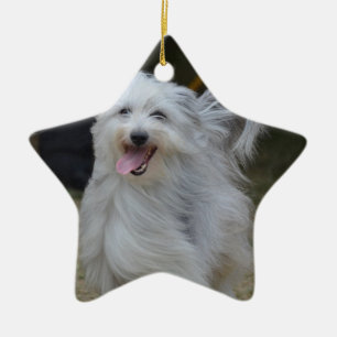 Söt Sheepdog Julgransprydnad Keramik
