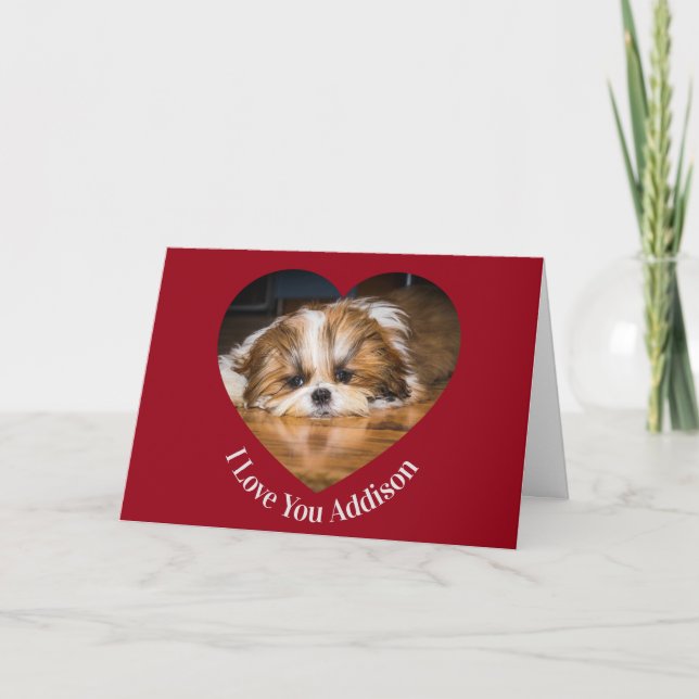 Söt shih tzu älskar Valentine hjärta foto Kort (Framsida)