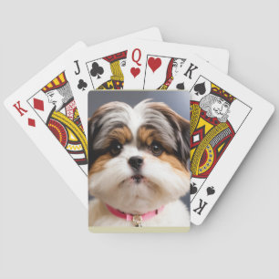 Söt Shih Tzu-ansikte med toppknut – söt hundkonst Casinokort