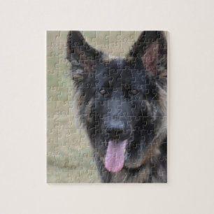 Söt Shiloh herde Pussel