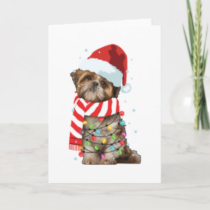 Söt Shitzu Hundälskare Roligt Xmas Holiday Present Kort