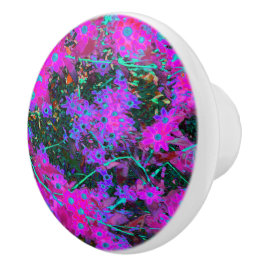 Söt Shock rosa, Magenta och Aqua Blåa blommor Knopp