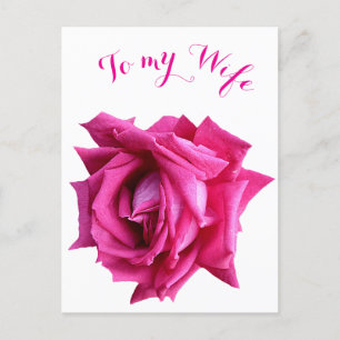 Söt shock rosa ro blommigt Lycklig Valentine kärle Vykort
