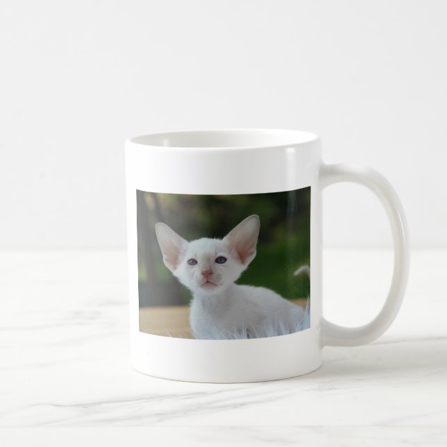 Söt siamesisk kattunge kaffemugg (Höger)