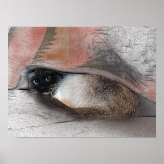 Söt siamesisk kattunge under en filt skiss poster (Framsidan)