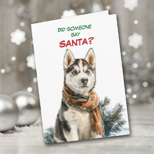 Söt sibirisk huskyhund letar efter tomte helgkort