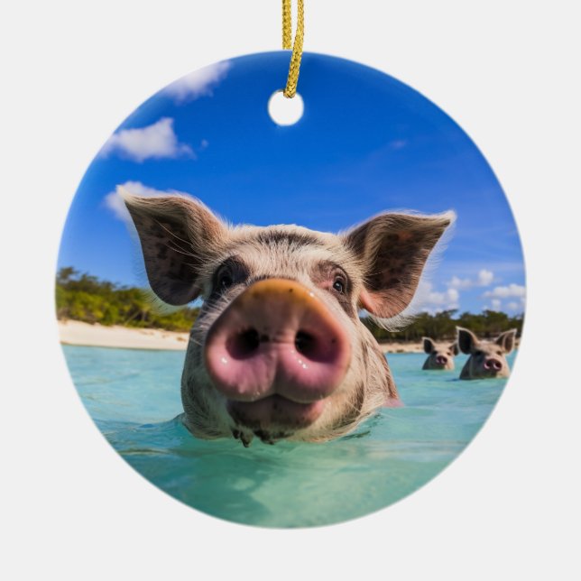 Söt simmande gris Exuma Bahamas Julgransprydnad Keramik (Framsidan)