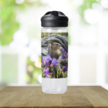 Söt sisel och vilda blommor naturfoto