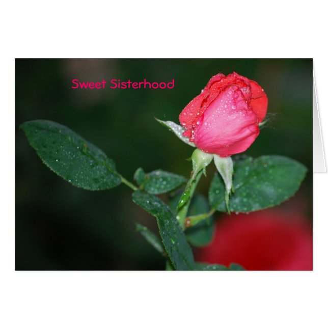 Söt Sisterhood Hälsningskort (Framsidan Horizontal)