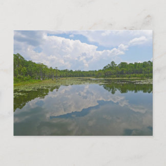 Söt Sjö View nära Tallahassee Florida Vykort