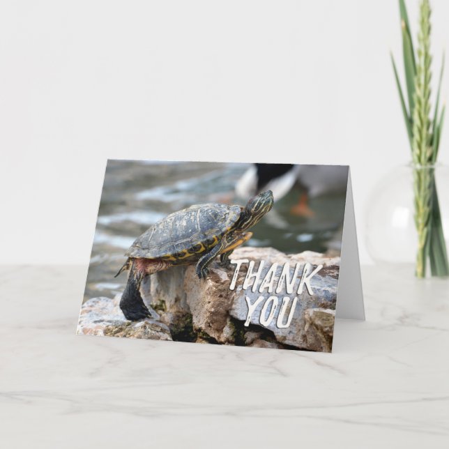 Söt Sköldpadda Foto Tack Kort (Framsida)