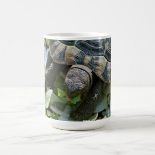 Söt sköldpadda kaffemugg