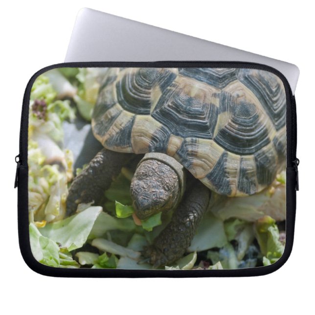 Söt sköldpadda laptop sleeve (Framsidan)