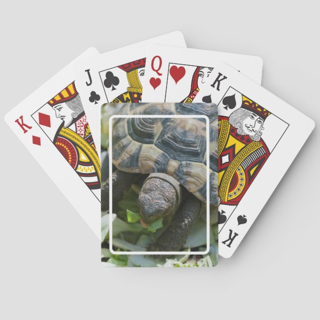 Söt sköldpadda spel kort (Baksidan)
