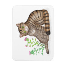 Söt skotsk vildkatt och kattunge-magnet