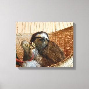 Söt Sloth Canvastryck