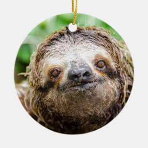 Söt Sloth Julgransprydnad Keramik