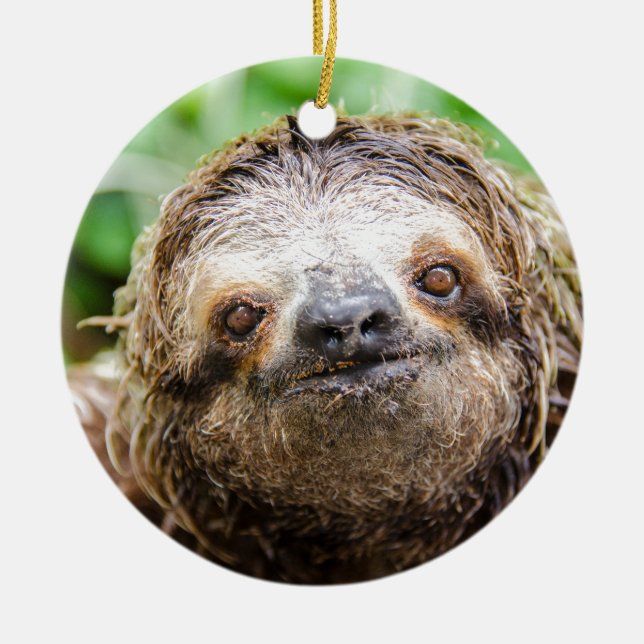 Söt Sloth Julgransprydnad Keramik (Framsidan)