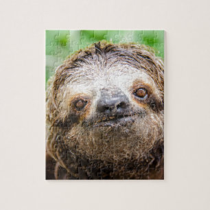 Söt Sloth Pussel