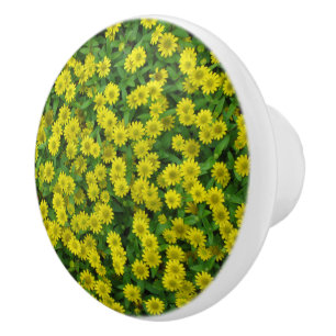 Söt Small Gula blommor Knopp