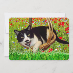 Söt Smoking Svart Katt Kort