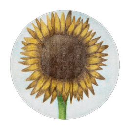 Söt Solros