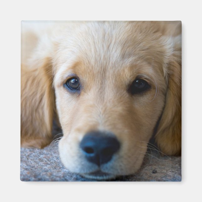 Söt, sötad marionett magnet (Framsidan)