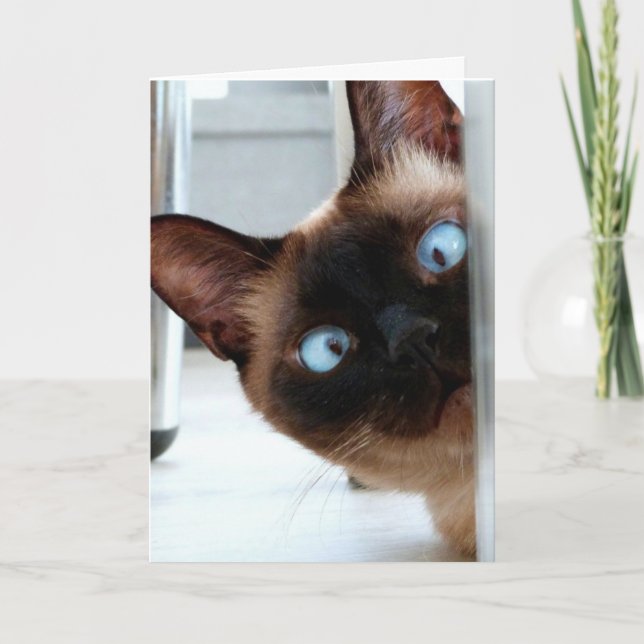 SÖT SÖTERMISK KATT FÖDELSEDAGKORT KORT (Framsida)