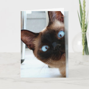 SÖT SÖTERMISK KATT FÖDELSEDAGKORT KORT