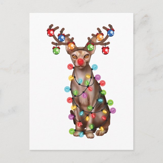 Söt Sphynx-katt Älskare Roligt Xmas Holiday Presen Vykort (Framsida)