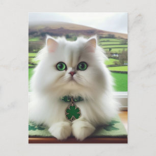 Söt St. Patricks Day Cat Vykort